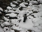 Neve anche a S. Pellegrino Terme (26 nov. 08) - FOTOGALLERY